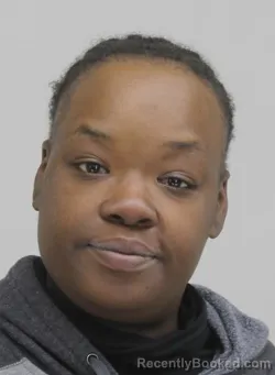 Mugshot of BREANNA COLLINS booked in Dallas County, Texas on April 7, 2026