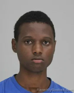 Mugshot of LUCKY LUSTER booked in Dallas County, Texas on April 7, 2026