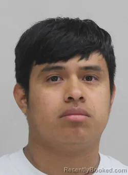 Mugshot of LUIS TULUL booked in Dallas County, Texas on April 7, 2026