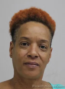 Mugshot of TAMMIE LAMPKIN booked in Dallas County, Texas on April 7, 2026