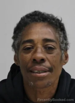 Mugshot of KIMBERLY TAN booked in Dallas County, Texas on April 7, 2026