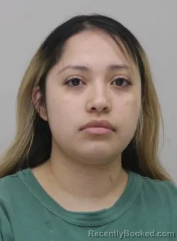 Mugshot of SALMA PACHECO booked in Dallas County, Texas on April 7, 2026