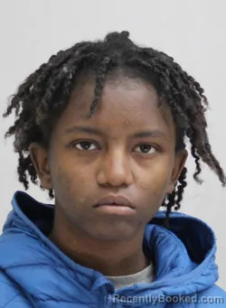 Mugshot of IESHA COOK booked in Dallas County, Texas on April 8, 2026