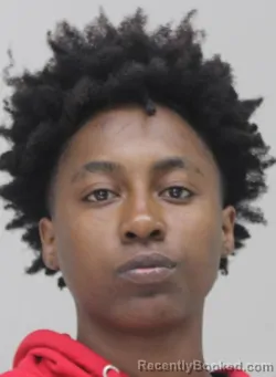 Mugshot of NAKIA HOLLIS booked in Dallas County, Texas on April 8, 2026