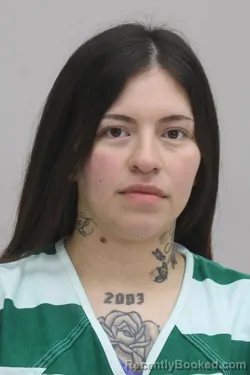 Mugshot of CLARISA GARCIA booked in Dallas County, Texas on April 8, 2026