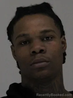 Mugshot of SEAFLEY WATSON booked in Dallas County, Texas on April 9, 2026