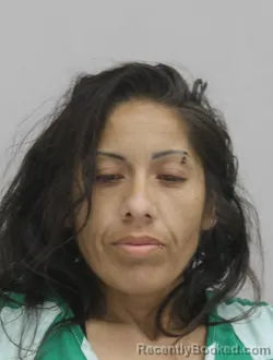 Mugshot of DANIELA GARCIA booked in Dallas County, Texas on April 9, 2026