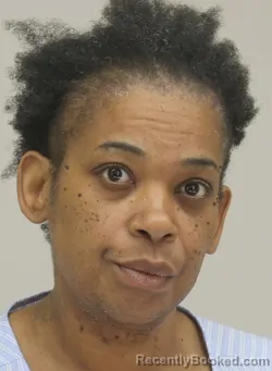 Mugshot of KATRINA SILVER booked in Dallas County, Texas on April 9, 2026