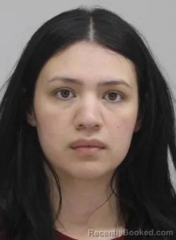 Mugshot of LADY VELASQUEZREYES booked in Dallas County, Texas on April 9, 2026