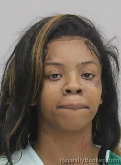 Mugshot of KAYLYN WILLIS booked in Dallas County, Texas on April 9, 2026