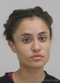 Mugshot of DIANA SOTO booked in Dallas County, Texas on April 10, 2026