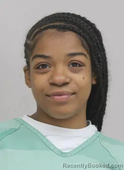 Mugshot of KRISTINA HOLMES booked in Dallas County, Texas on April 10, 2026