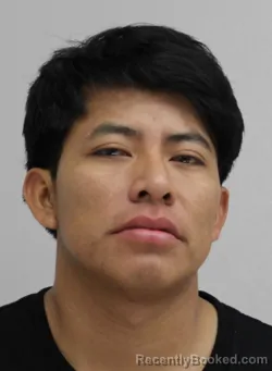 Mugshot of LUIS TOXCHUB booked in Dallas County, Texas on April 10, 2026