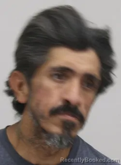 Mugshot of TRINADAD HERNANDEZ booked in Dallas County, Texas on April 10, 2026