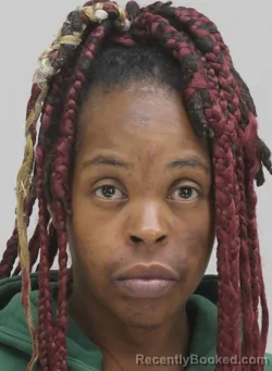 Mugshot of JESSICA WILSON booked in Dallas County, Texas on April 10, 2026