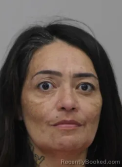 Mugshot of MELISSA HONEYCUTT booked in Dallas County, Texas on April 10, 2026