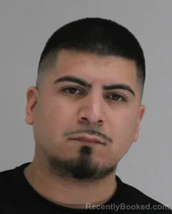 Mugshot of LUIS SALINAS booked in Dallas County, Texas on April 10, 2026