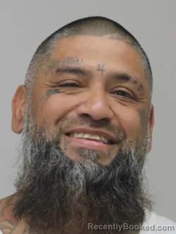 Mugshot of ROBERT VELIZ booked in Dallas County, Texas on April 10, 2026