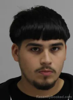 Mugshot of STEVEN ALFARO booked in Dallas County, Texas on April 10, 2026