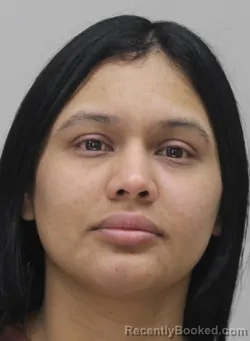 Mugshot of MARIELBYS APONTE booked in Dallas County, Texas on April 10, 2026