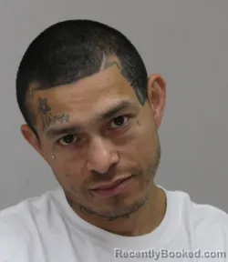 Mugshot of ESTEBAN CANALES booked in Dallas County, Texas on April 10, 2026