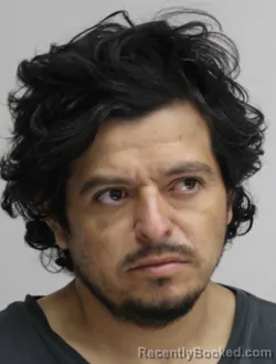 Mugshot of RAUL CASAS booked in Dallas County, Texas on April 10, 2026