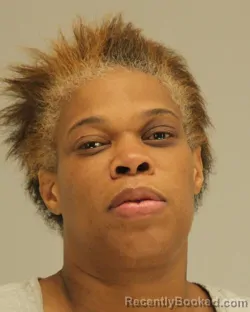 Mugshot of RACHEL TURNER booked in Dallas County, Texas on April 10, 2026