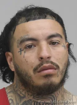 Mugshot of SANTANA LUCIO booked in Dallas County, Texas on April 11, 2026