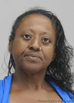 Mugshot of CHRISTINE LEWIS booked in Dallas County, Texas on April 11, 2026