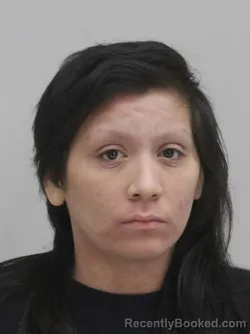 Mugshot of JANELLE GIGER booked in Dallas County, Texas on April 11, 2026