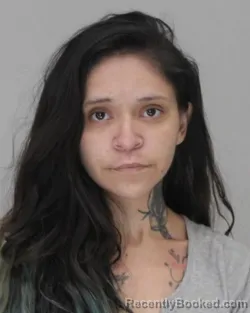 Mugshot of STEPHANIE PEREZ booked in Dallas County, Texas on April 11, 2026