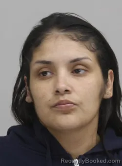 Mugshot of MEYA MEJIA booked in Dallas County, Texas on April 11, 2026