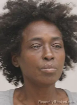 Mugshot of MOILISA OJUKWU booked in Dallas County, Texas on April 11, 2026