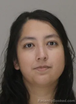 Mugshot of SELENA HINGUANZO booked in Dallas County, Texas on April 11, 2026