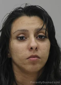 Mugshot of CYNTHIA CAMARGO booked in Dallas County, Texas on April 12, 2026