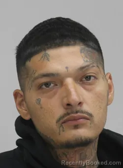Mugshot of CESAR ORTEGA booked in Dallas County, Texas on April 12, 2026