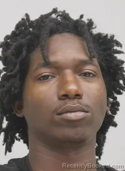 Mugshot of KAMAREA SIMMONS booked in Dallas County, Texas on April 12, 2026