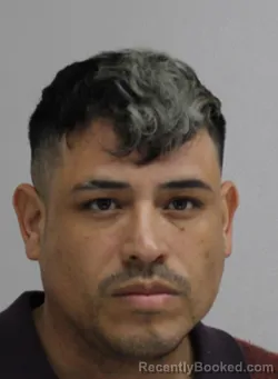Mugshot of RAUL SANCHEZ booked in Dallas County, Texas on April 12, 2026