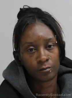 Mugshot of TAKEDRA NEWTON booked in Dallas County, Texas on April 12, 2026