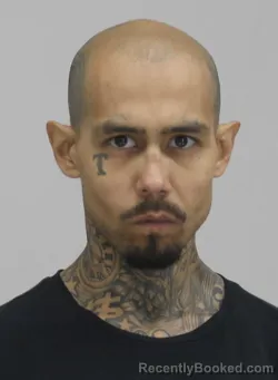 Mugshot of RICARDO HERNANDEZ booked in Dallas County, Texas on April 13, 2026