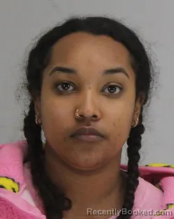 Mugshot of ANEESAH BRADLEY booked in Dallas County, Texas on April 13, 2026