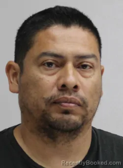 Mugshot of JOSE CANTU booked in Dallas County, Texas on April 13, 2026