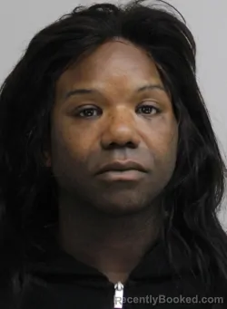 Mugshot of MICHAEL AKRIDGE DAVIS booked in Dallas County, Texas on April 13, 2026