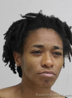 Mugshot of AMBER WILLIAMS booked in Dallas County, Texas on April 13, 2026