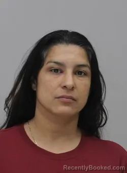 Mugshot of CAROLINA LAZO booked in Dallas County, Texas on April 13, 2026