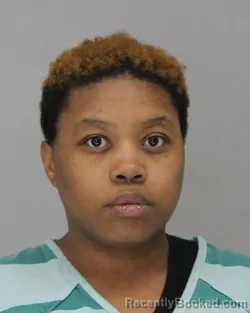 Mugshot of BETHANY ALEXANDER booked in Dallas County, Texas on April 13, 2026