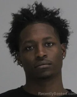 Mugshot of TYLER LOW booked in Dallas County, Texas on April 13, 2026