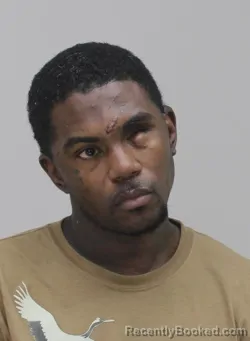 Mugshot of DOMINIQUE FREEMAN booked in Dallas County, Texas on April 14, 2026