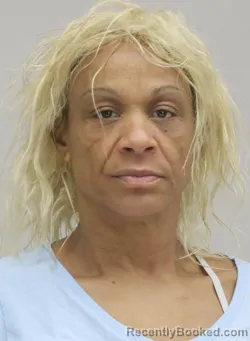 Mugshot of LOLITA MITCHELL booked in Dallas County, Texas on April 14, 2026