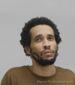 Mugshot of SHAUNDAIDRICK WALKER booked in Dallas County, Texas on April 14, 2026